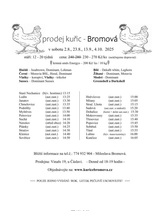 Prodej kuřic Bromová
