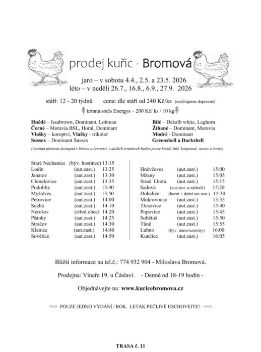Prodej kuřic - Bromová