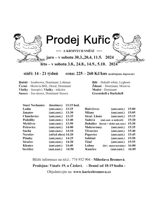 Prodej kuřic - Bromová