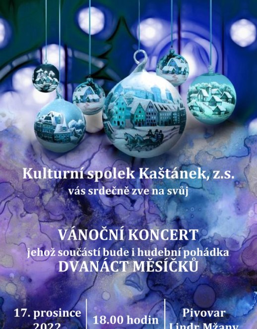 Vánoční koncert