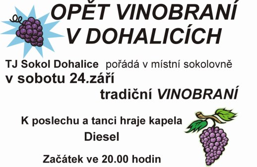 TRADIČNÍ VINOBRANÍ V DOHALICÍCH