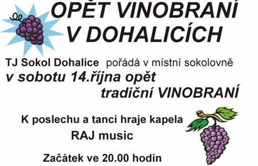 Vinobraní TJ Sokol Dohalice