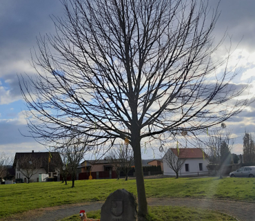 Velikonoční výzdoba