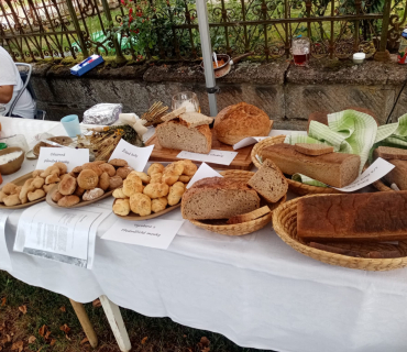Slavnosti chleba v Horních Dohalicích