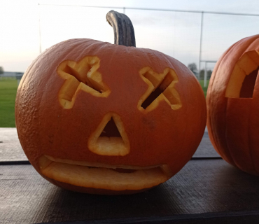 Dýňování