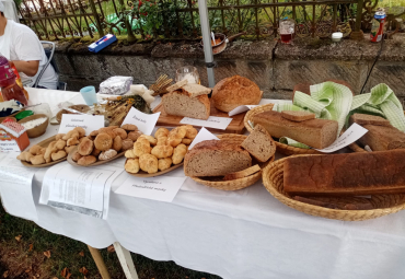 Slavnosti chleba v Horních Dohalicích